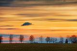 Laneway Trees At Sunrise_15582-5